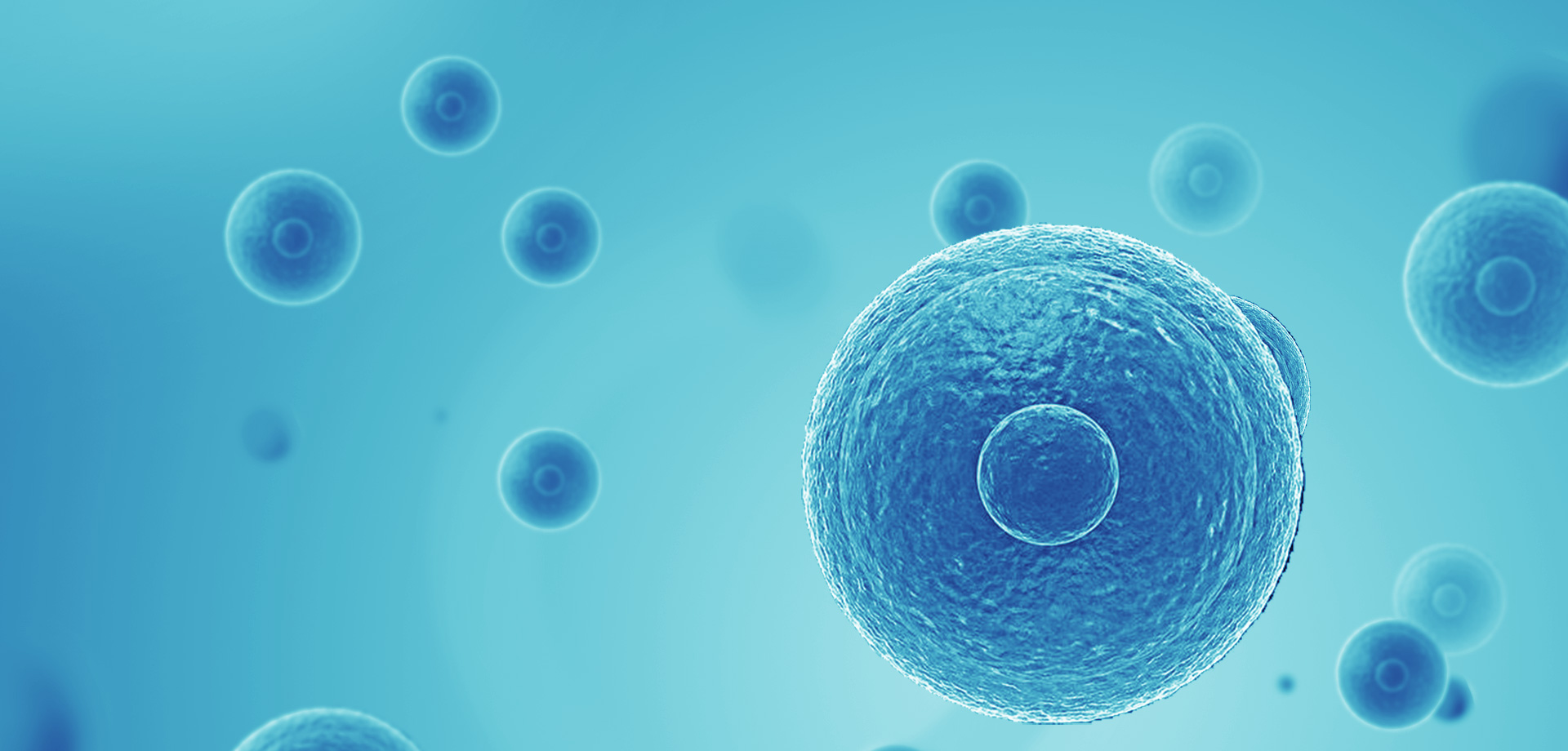 以患者需求為核心，驅動(dòng)細胞免疫治療創(chuàng  )新，實(shí)現癌癥可控化并最終治愈。