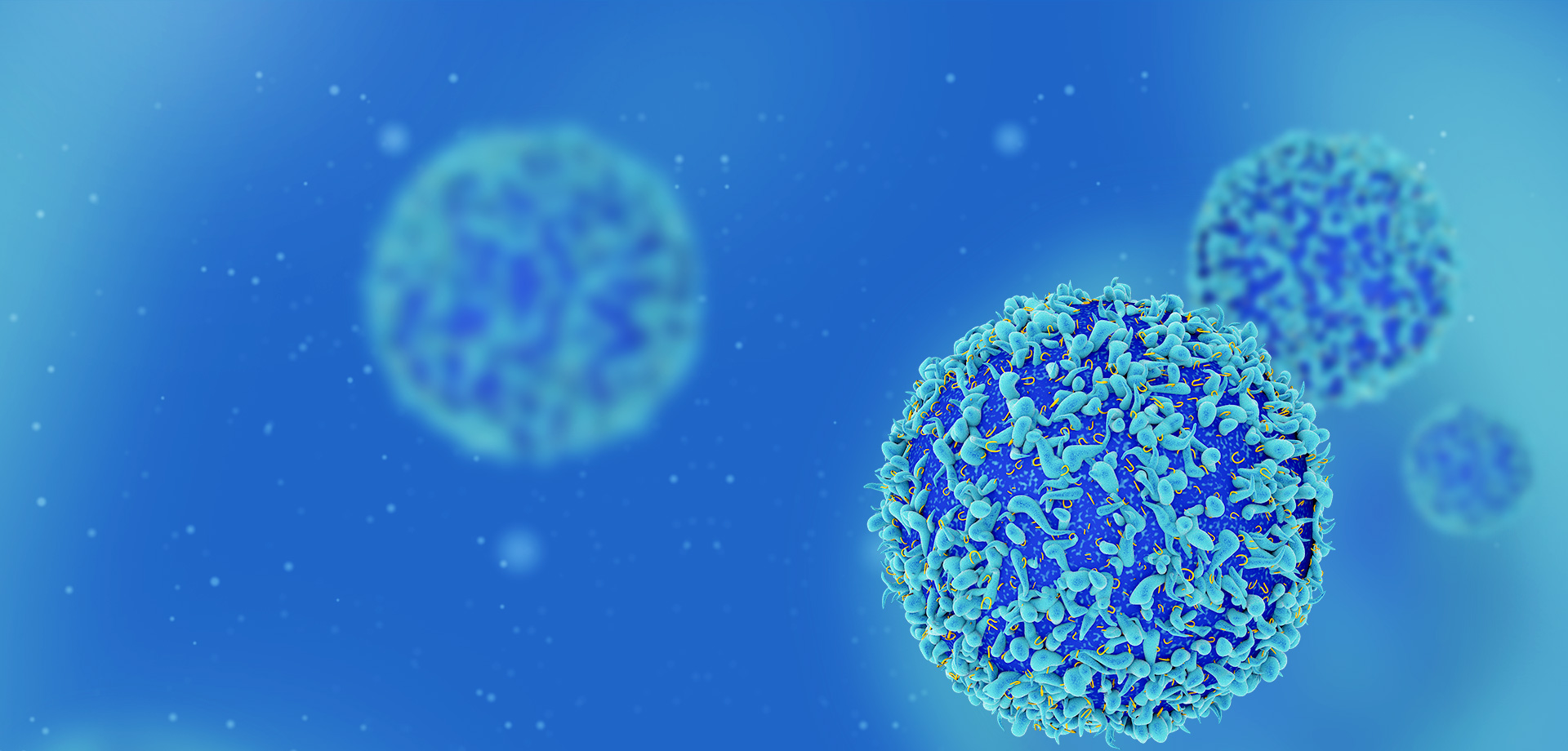 成為全球細胞免疫治療領(lǐng)域的領(lǐng)導者之一。